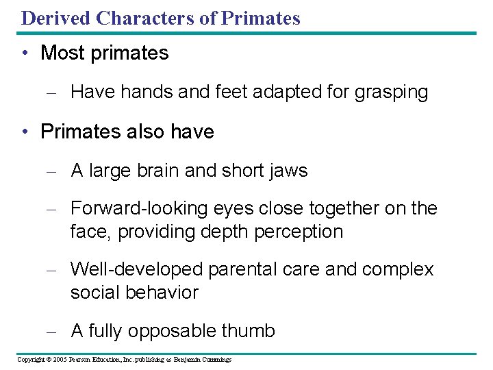 Derived Characters of Primates • Most primates – Have hands and feet adapted for