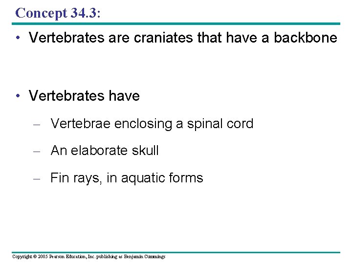 Concept 34. 3: • Vertebrates are craniates that have a backbone • Vertebrates have