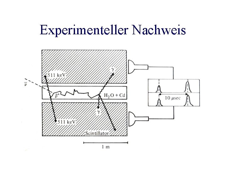 Experimenteller Nachweis 