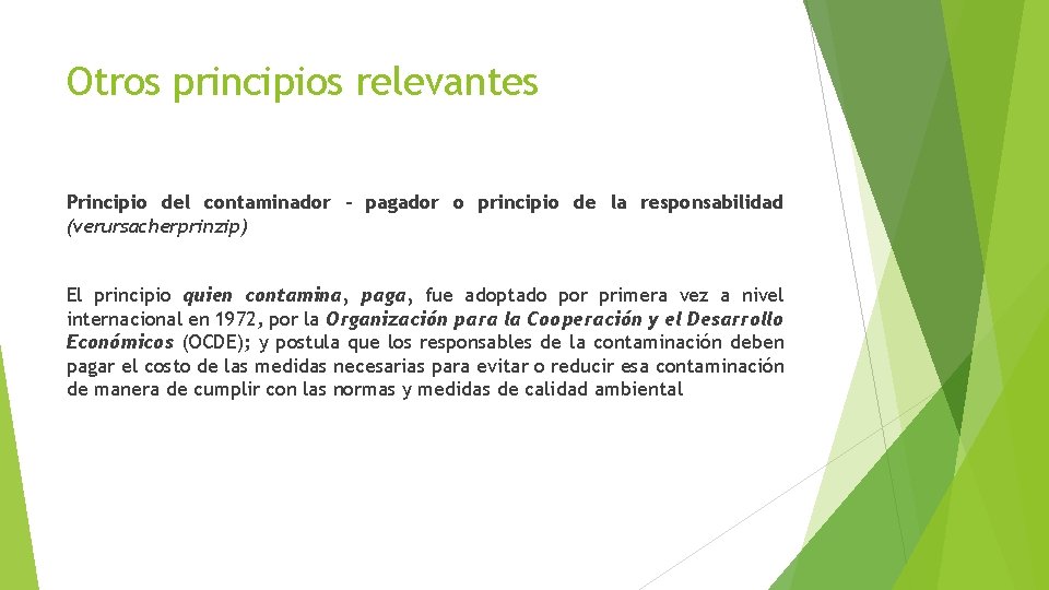 Otros principios relevantes Principio del contaminador - pagador o principio de la responsabilidad (verursacherprinzip)