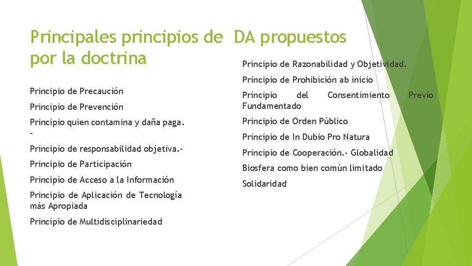 Principales principios de DA propuestos por la doctrina Principio de Razonabilidad y Objetividad. Principio
