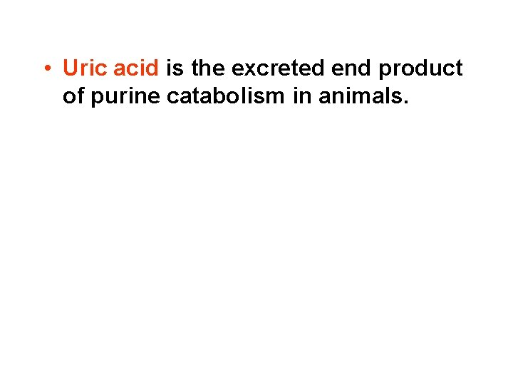  • Uric acid is the excreted end product of purine catabolism in animals.