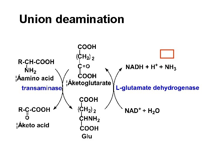 Union deamination 