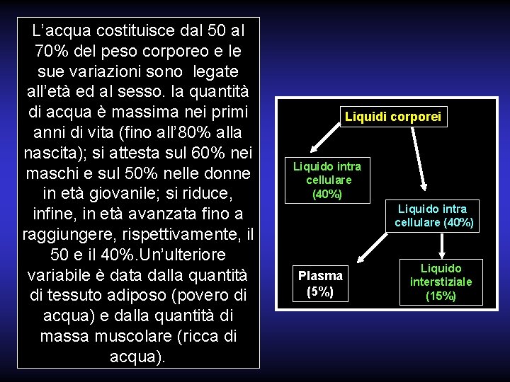 L’acqua costituisce dal 50 al 70% del peso corporeo e le sue variazioni sono