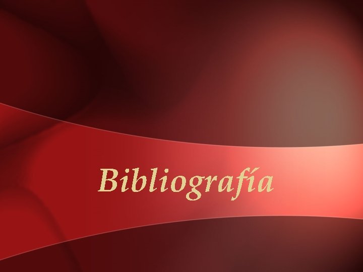 Bibliografía 