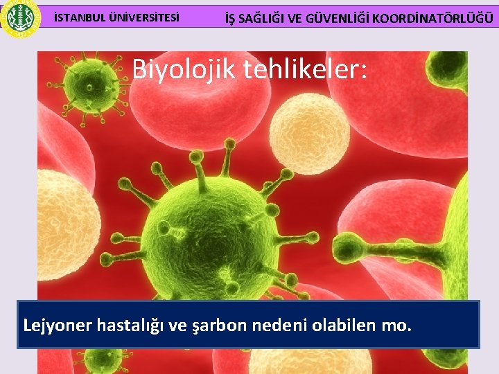 İSTANBUL ÜNİVERSİTESİ İŞ SAĞLIĞI VE GÜVENLİĞİ KOORDİNATÖRLÜĞÜ Biyolojik tehlikeler: Lejyoner hastalığı ve şarbon nedeni