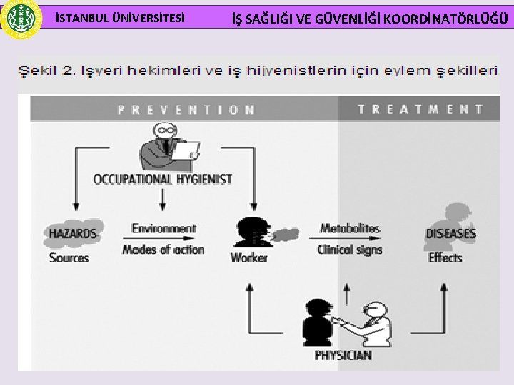 İSTANBUL ÜNİVERSİTESİ İŞ SAĞLIĞI VE GÜVENLİĞİ KOORDİNATÖRLÜĞÜ 