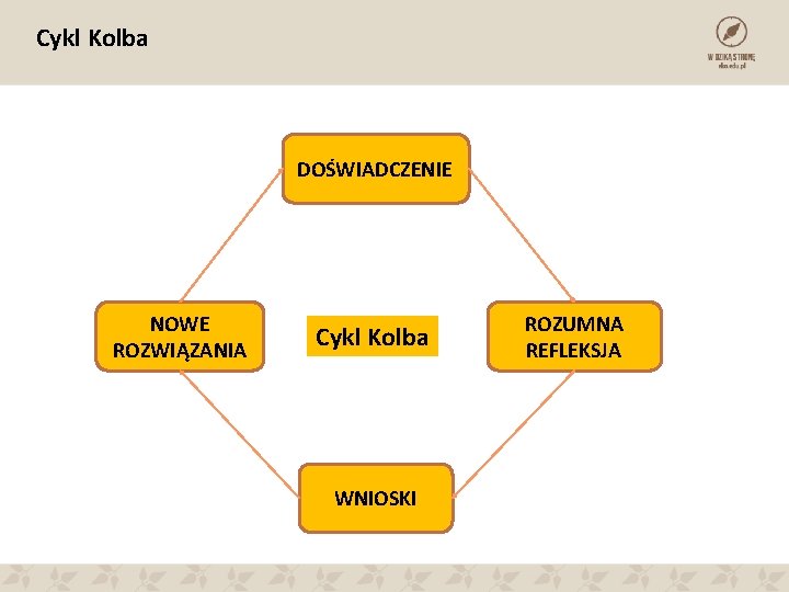 Cykl Kolba DOŚWIADCZENIE NOWE ROZWIĄZANIA Cykl Kolba WNIOSKI ROZUMNA REFLEKSJA 