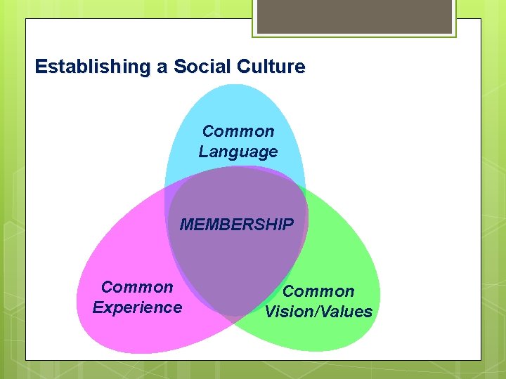 Establishing a Social Culture Common Language MEMBERSHIP Common Experience Common Vision/Values 