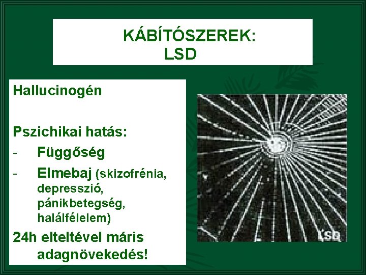 KÁBÍTÓSZEREK: LSD Hallucinogén Pszichikai hatás: - Függőség - Elmebaj (skizofrénia, depresszió, pánikbetegség, halálfélelem) 24