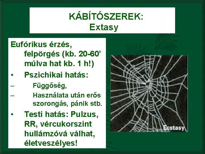 KÁBÍTÓSZEREK: Extasy Eufórikus érzés, felpörgés (kb. 20 -60’ múlva hat kb. 1 h!) •