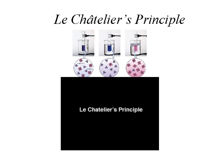 Le Châtelier’s Principle 