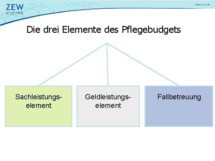 Die drei Elemente des Pflegebudgets Sachleistungselement Geldleistungselement Fallbetreuung 