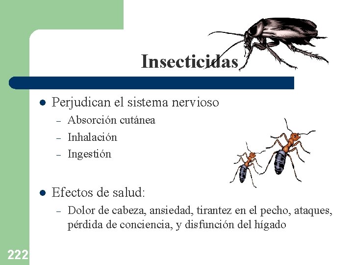 Insecticidas l Perjudican el sistema nervioso – – – l Efectos de salud: –