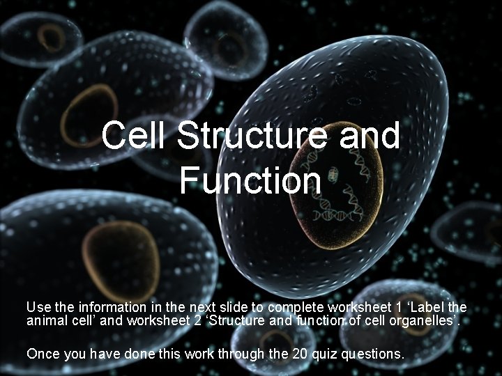 cell structure and function worksheet answers doc