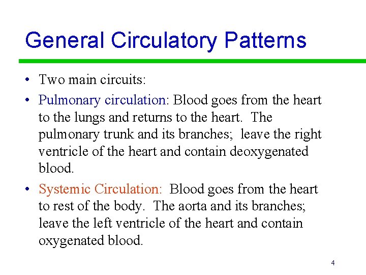 General Circulatory Patterns • Two main circuits: • Pulmonary circulation: Blood goes from the