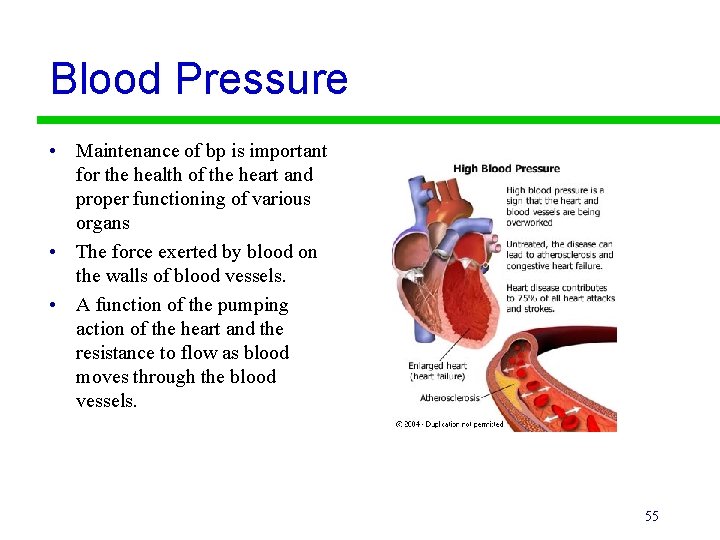 Blood Pressure • Maintenance of bp is important for the health of the heart