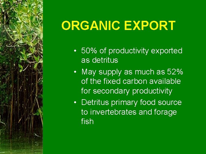 ORGANIC EXPORT • 50% of productivity exported as detritus • May supply as much