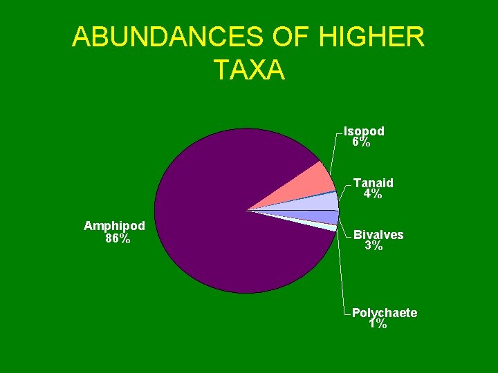 ABUNDANCES OF HIGHER TAXA Isopod 6% Tanaid 4% Amphipod 86% Bivalves 3% Polychaete 1%