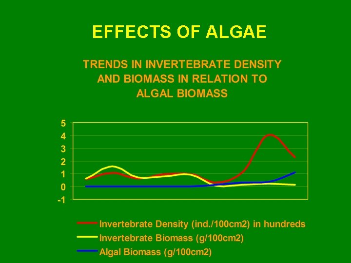 EFFECTS OF ALGAE 