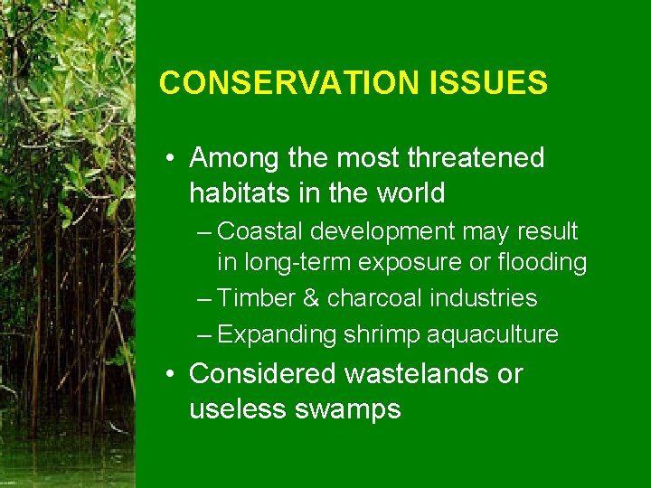 CONSERVATION ISSUES • Among the most threatened habitats in the world – Coastal development