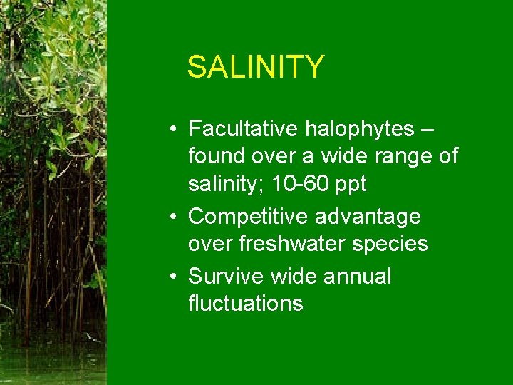 SALINITY • Facultative halophytes – found over a wide range of salinity; 10 -60