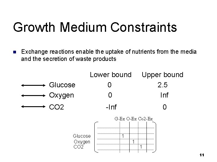Growth Medium Constraints n Exchange reactions enable the uptake of nutrients from the media