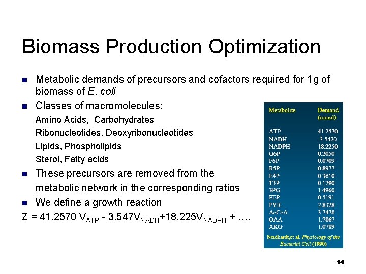 Biomass Production Optimization n n Metabolic demands of precursors and cofactors required for 1