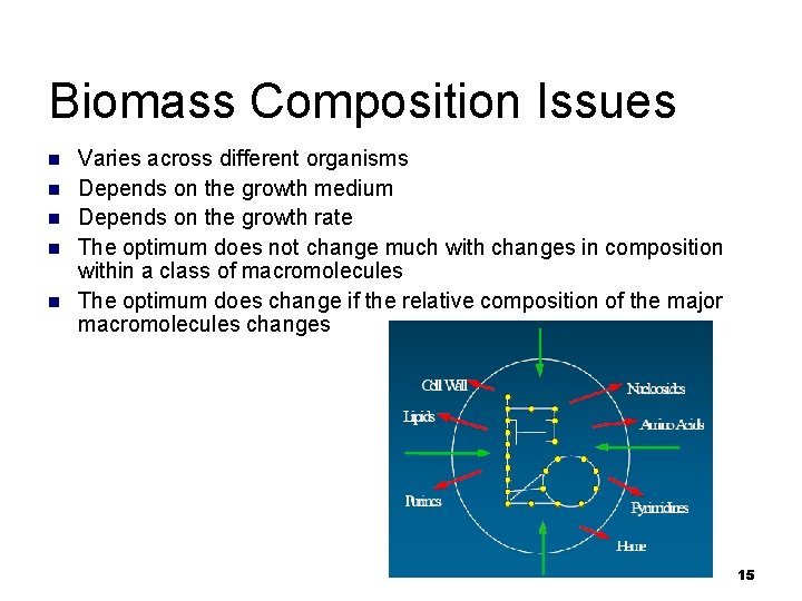 Biomass Composition Issues n n n Varies across different organisms Depends on the growth