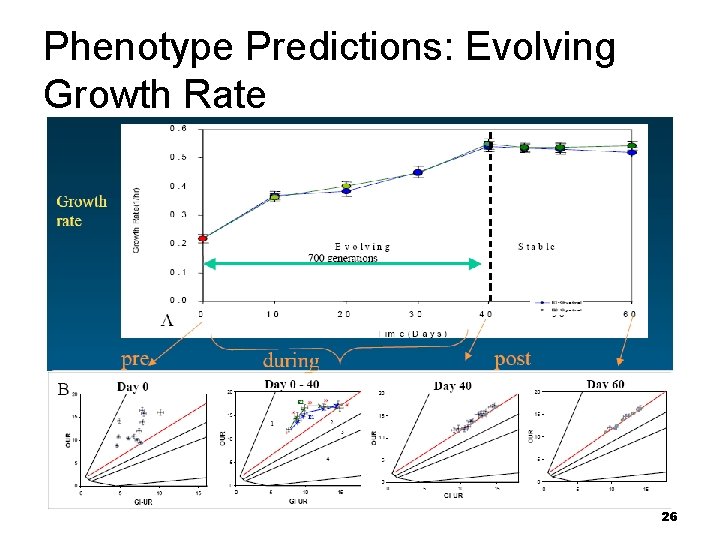 Phenotype Predictions: Evolving Growth Rate 26 