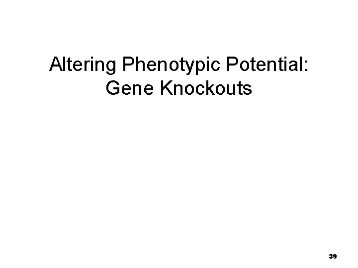 Altering Phenotypic Potential: Gene Knockouts 39 