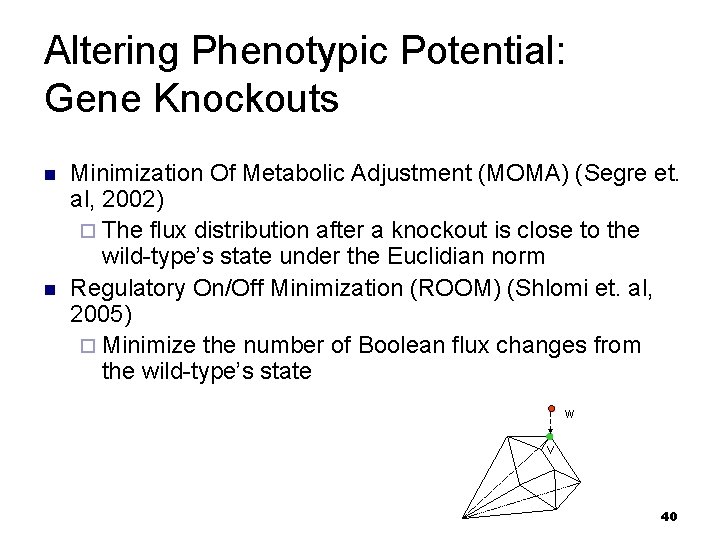 Altering Phenotypic Potential: Gene Knockouts n n Minimization Of Metabolic Adjustment (MOMA) (Segre et.