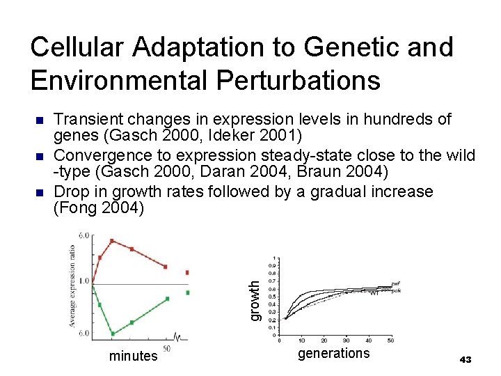 Cellular Adaptation to Genetic and Environmental Perturbations n n Transient changes in expression levels