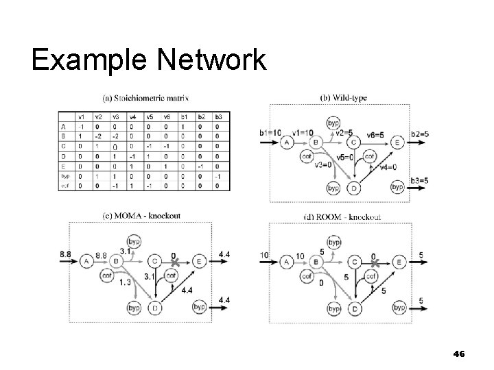 Example Network 46 