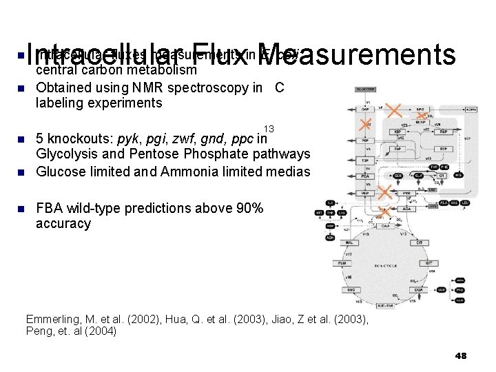 n n n Intracellular fluxes measurements in. Measurements E. coli Intracellular Flux central carbon