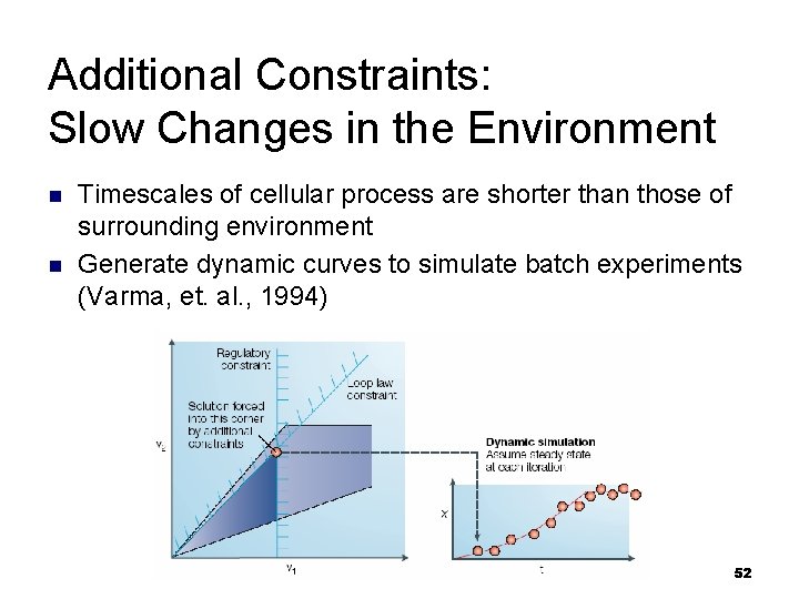 Additional Constraints: Slow Changes in the Environment n n Timescales of cellular process are