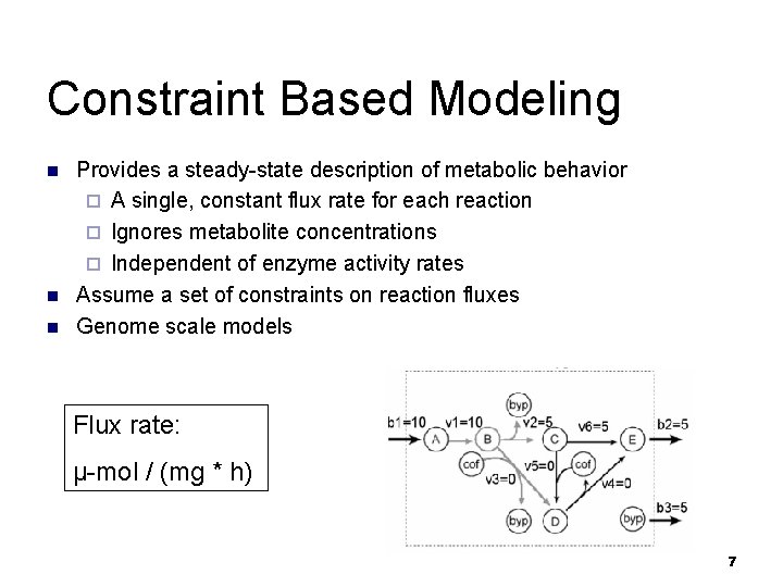 Constraint Based Modeling n n n Provides a steady-state description of metabolic behavior ¨