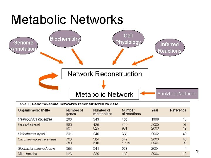 Metabolic Networks Genome Annotation Biochemistry Cell Physiology Inferred Reactions Network Reconstruction Metabolic Network Analytical