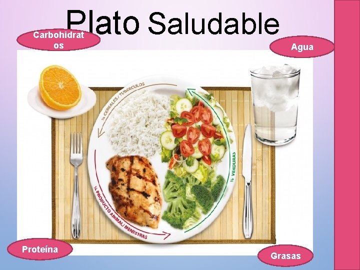 Plato Saludable Carbohidrat os Proteína Agua Grasas 