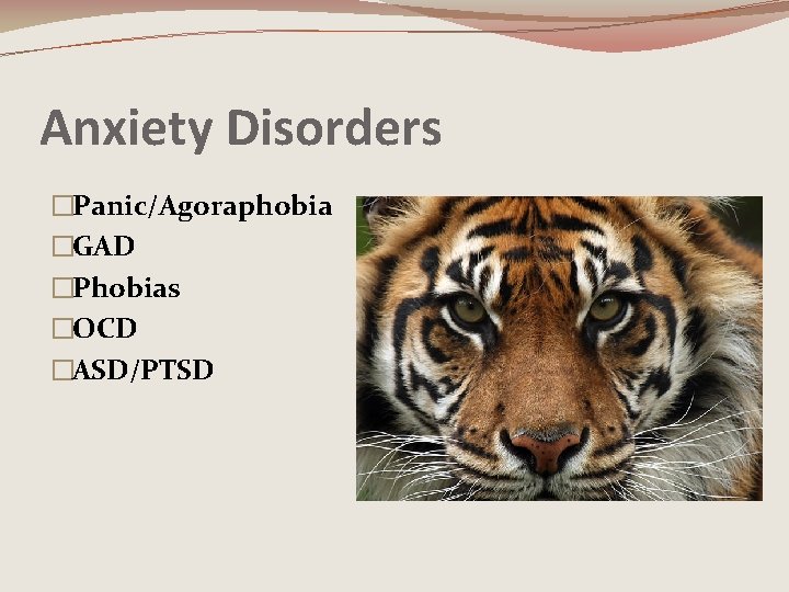 Anxiety Disorders �Panic/Agoraphobia �GAD �Phobias �OCD �ASD/PTSD 