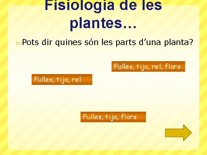 Fisiologia de les plantes… Pots dir quines són les parts d’una planta? Fulles, tija,