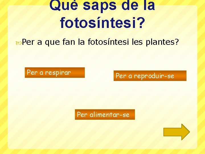 Què saps de la fotosíntesi? Per a que fan la fotosíntesi les plantes? Per