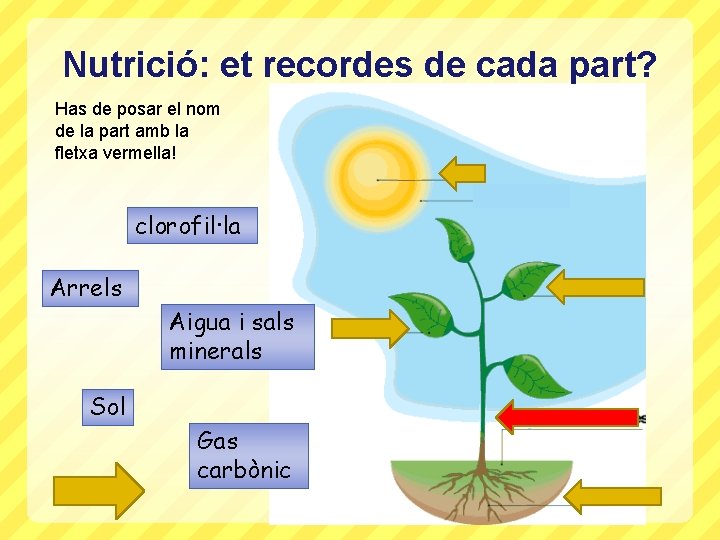 Nutrició: et recordes de cada part? Has de posar el nom de la part