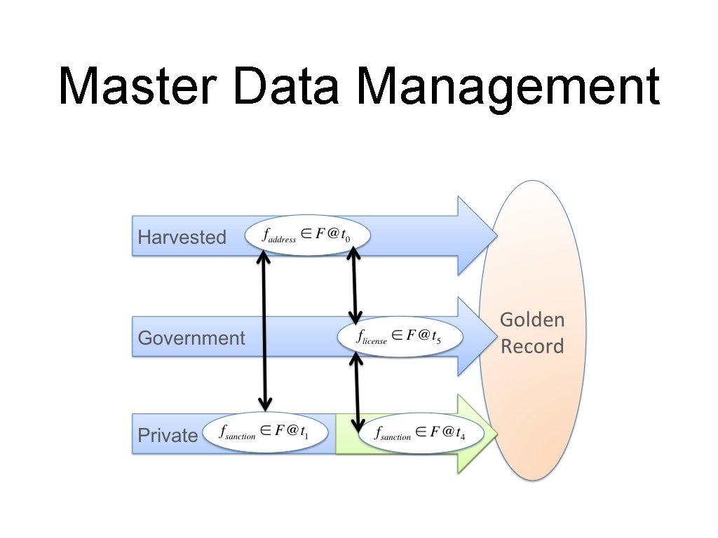 Master Data Management 