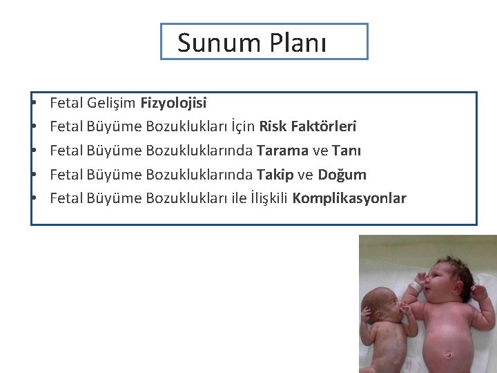 Sunum Planı • • • Fetal Gelişim Fizyolojisi Fetal Büyüme Bozuklukları İçin Risk Faktörleri