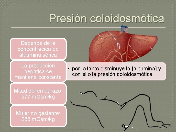 Presión coloidosmótica Depende de la concentración de albumina sérica La producción hepática se mantiene