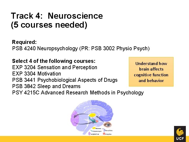 Track 4: Neuroscience (5 courses needed) Required: PSB 4240 Neuropsychology (PR: PSB 3002 Physio