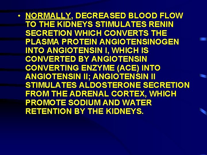  • NORMALLY, DECREASED BLOOD FLOW TO THE KIDNEYS STIMULATES RENIN SECRETION WHICH CONVERTS