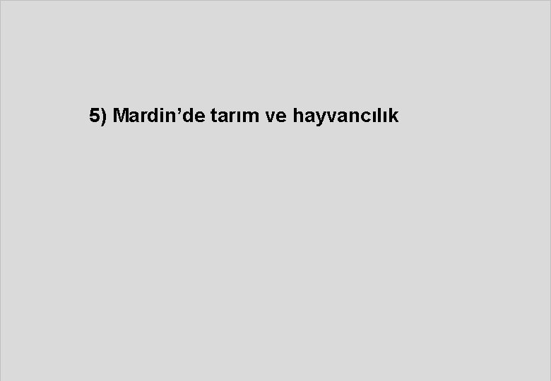 5) Mardin’de tarım ve hayvancılık 
