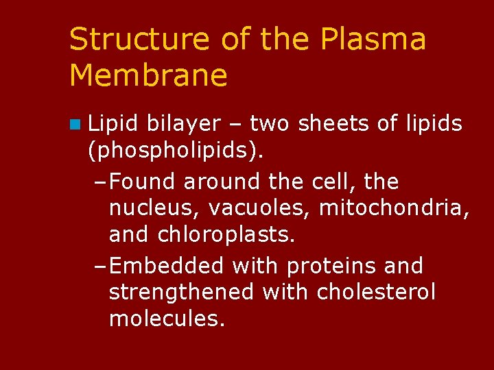 Structure of the Plasma Membrane n Lipid bilayer – two sheets of lipids (phospholipids).